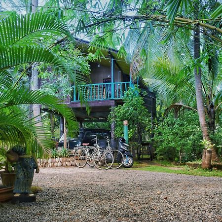 Passion Ray Villa & Tree Hut Sigiriya Exteriér fotografie
