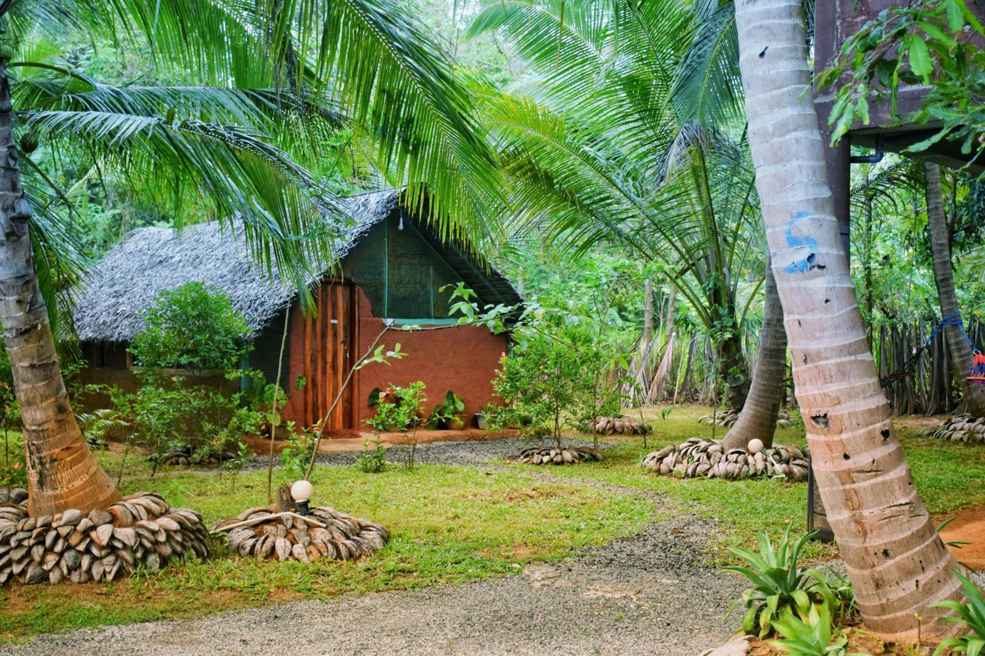 Passion Ray Villa & Tree Hut Sigiriya Exteriér fotografie