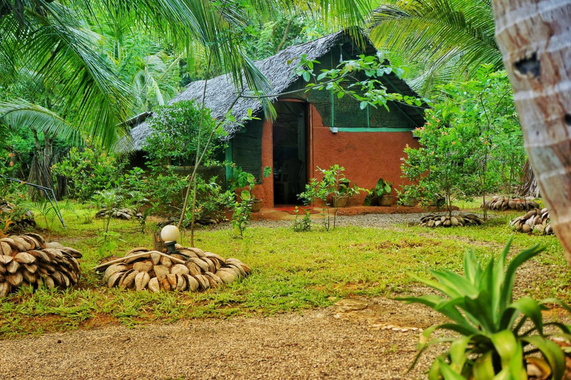 Passion Ray Villa & Tree Hut Sigiriya Pokoj fotografie