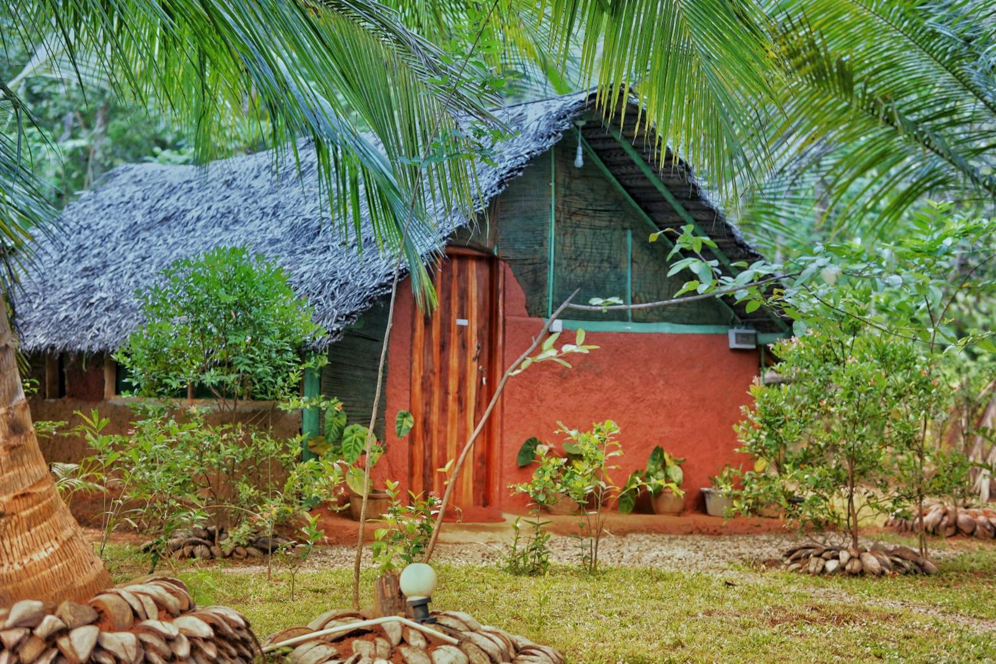 Passion Ray Villa & Tree Hut Sigiriya Exteriér fotografie
