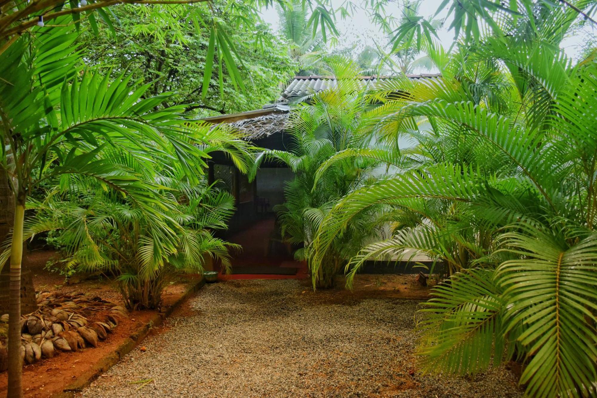 Passion Ray Villa & Tree Hut Sigiriya Exteriér fotografie