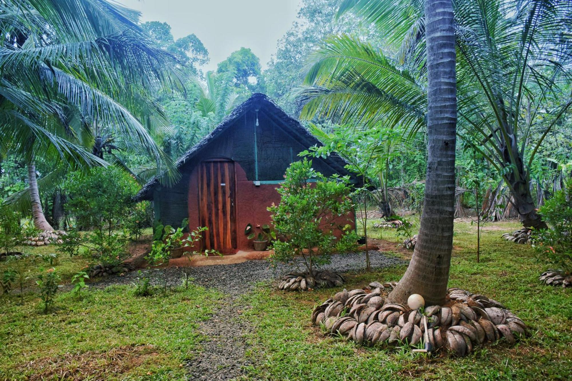 Passion Ray Villa & Tree Hut Sigiriya Pokoj fotografie