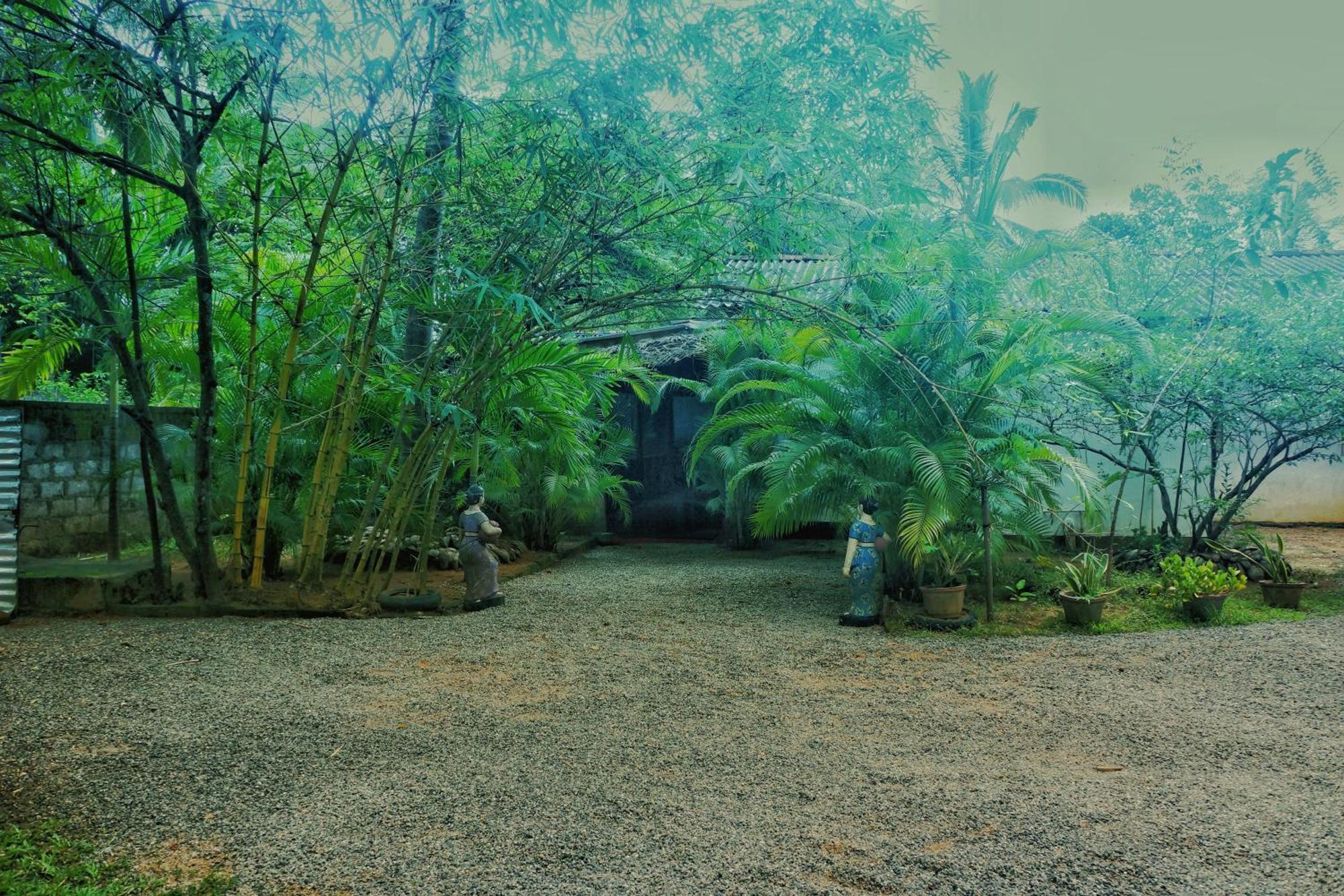 Passion Ray Villa & Tree Hut Sigiriya Exteriér fotografie