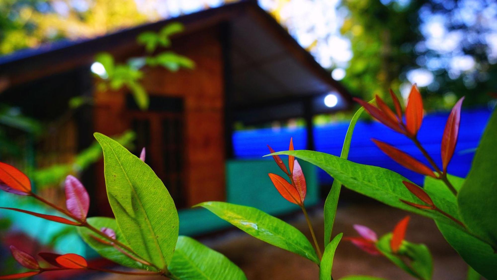 Passion Ray Villa & Tree Hut Sigiriya Exteriér fotografie